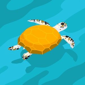 Meet your Posher, Candace